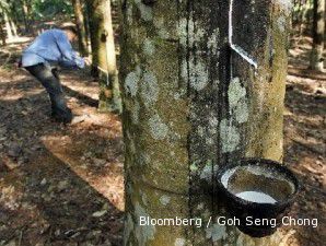 Harga karet menyentuh harga terendahnya dalam 7 minggu