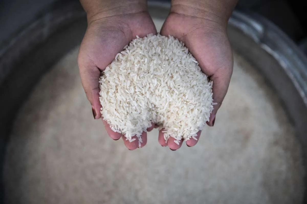 Harga Beras Tembus Rp15.500 per Kg, Zulhas Ungkap Penyebabnya