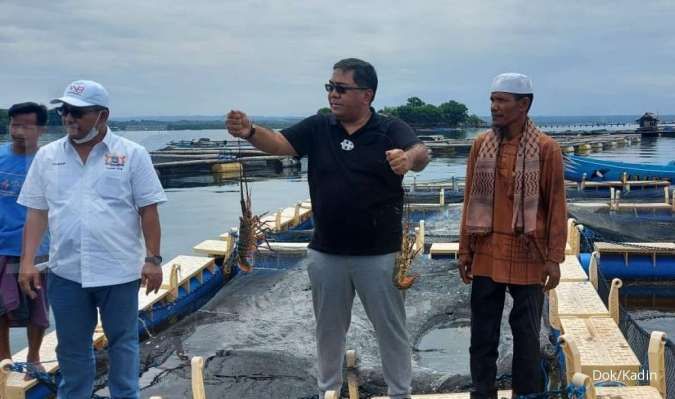 Kadin dukung Lombok menjadi pusat budidaya lobster nasional
