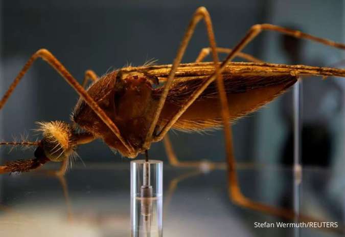 WHO: Dunia Berpotensi Kalah dalam Perang Melawan Malaria
