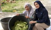 Jeli Lihat Peluang, Nasabah PNM Mekaar Sulap Sampah Pasar Jadi Usaha Beromzet Jutaan