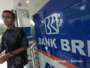 Aset DPLK BRI dan BNI semakin gemuk