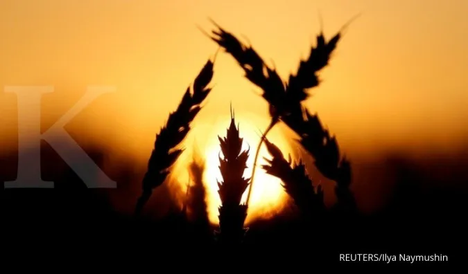 India's Surprise Wheat Export Ban Traps 1.8 Million Tons at Ports-Trade