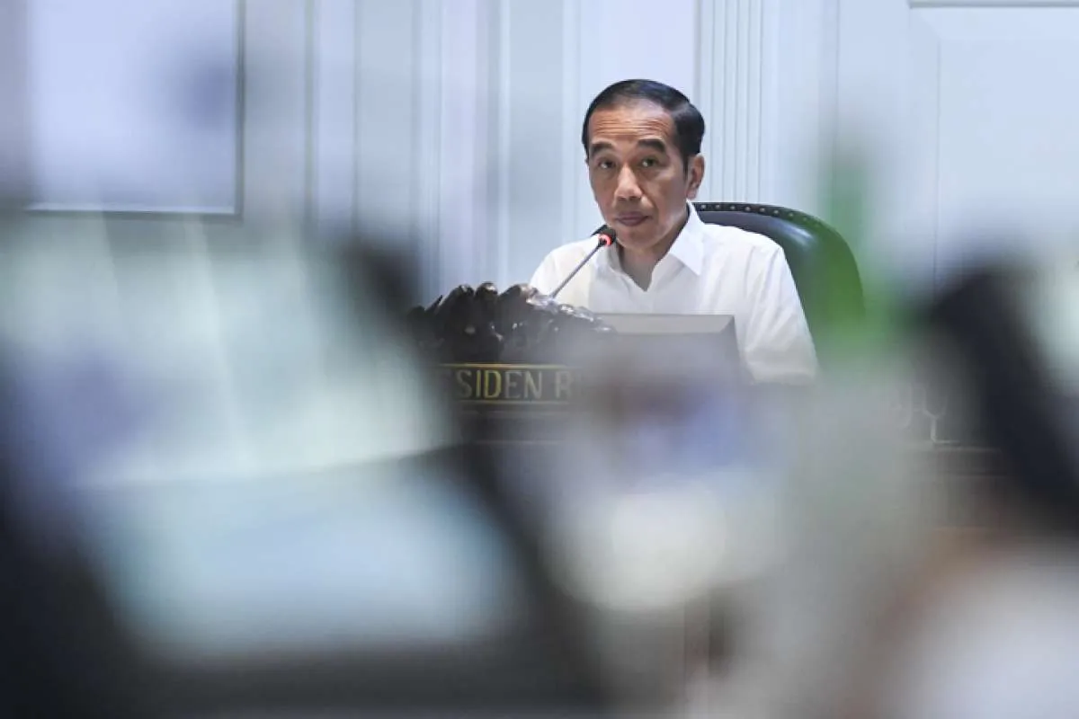 Demi tingkatkan produksi, Jokowi dorong ekstensifikasi lahan padi