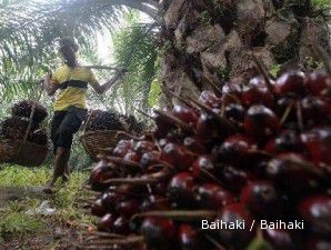 Saham berbasis CPO menjadi incaran, AALI pimpin kenaikan sektor agrikultur