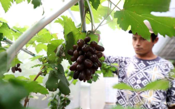 Wajib Tahu! Ini 5 Peristiwa Global Ini Terjadi Serentak Tiap 13 April