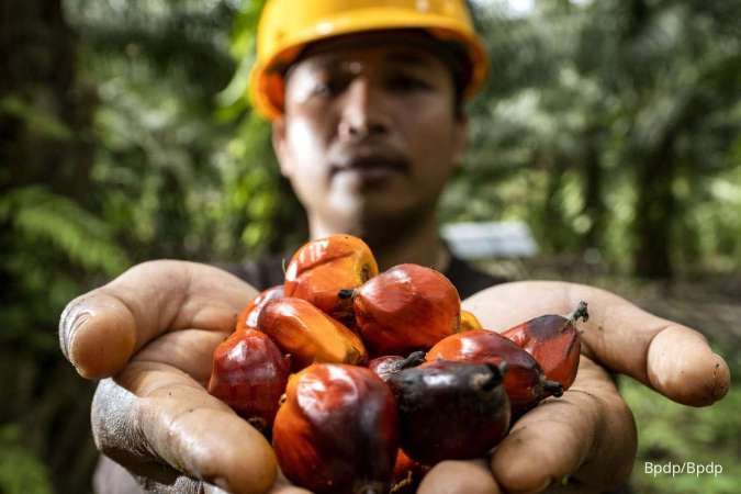 Riset Bisa Dapat Pendanaan, Ini Arah yang Dicari Industri