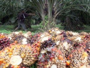 Pasar beralih ke kedelai, harga CPO terbenam ke US$ 1.229,7 per ton