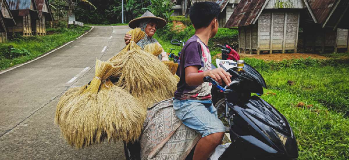 Merdeka Beras tapi Masih Terjajah Energi
