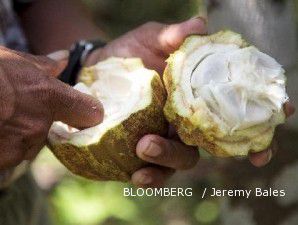 Sarinah Siapkan Rp 50 M untuk Masuk ke Bisnis Kakao