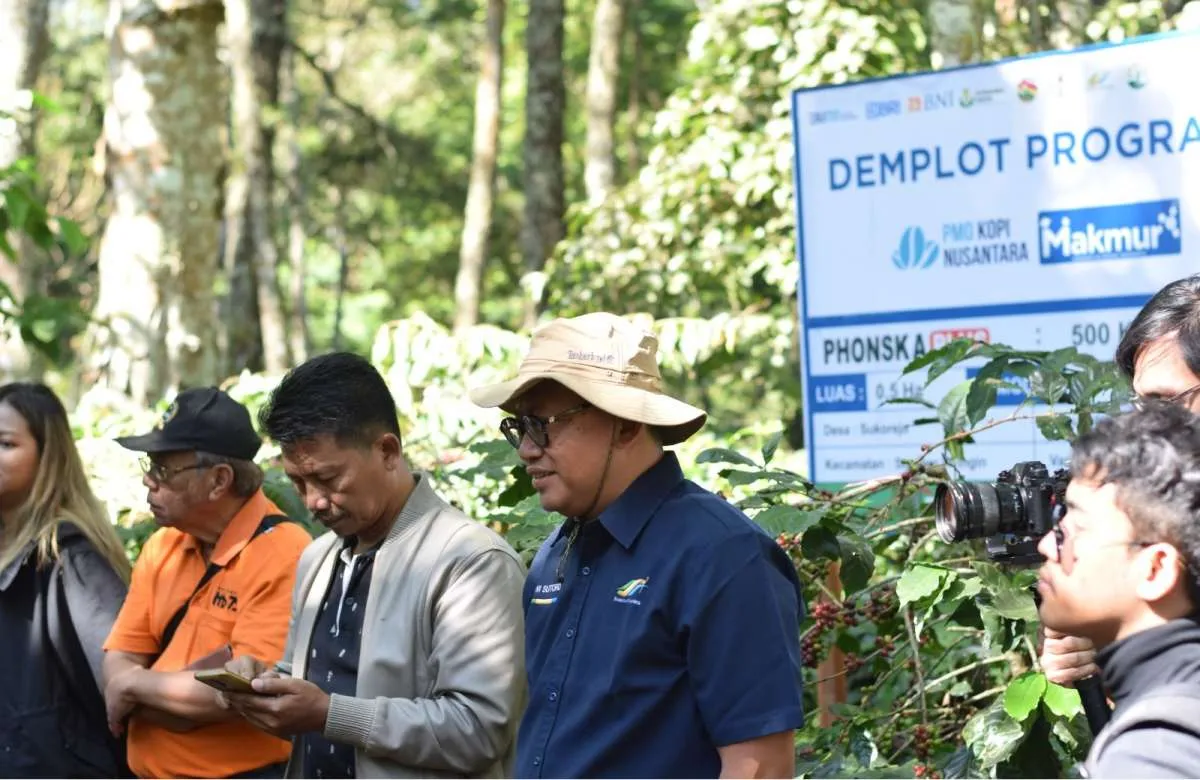 Berkah Kopi Indonesia di Tahun 2023:Produksi Naik, Harga Meningkat & Jadi Juara Dunia