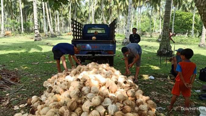 Sempat Bikin Harga Melonjak, Ekspor Kelapa Utuh Akan Dilarang