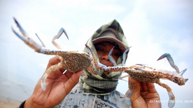 Ilmuan Membuktikan Kepiting Pantai Ternyata Juga Dapat Merasakan Sakit