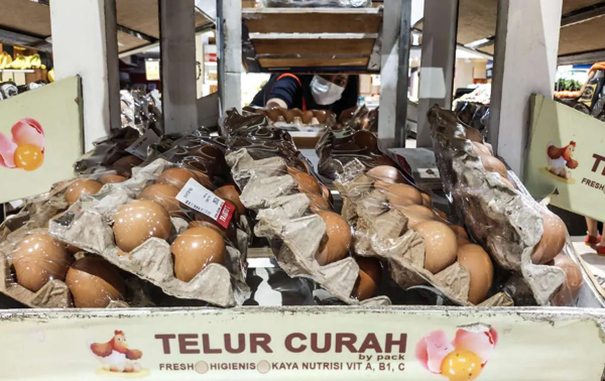 Segera diumumkan, inflasi bulan Agustus diproyeksi lebih rendah dari bulan sebelumnya