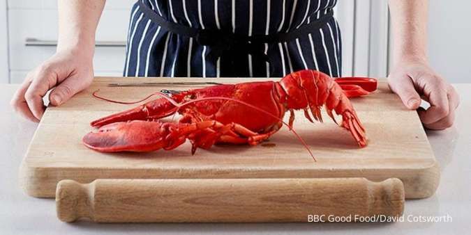 5 Tips Pilih Lobster Segar Sebelum Membelinya, Ada Tips Mengolahnya Juga!