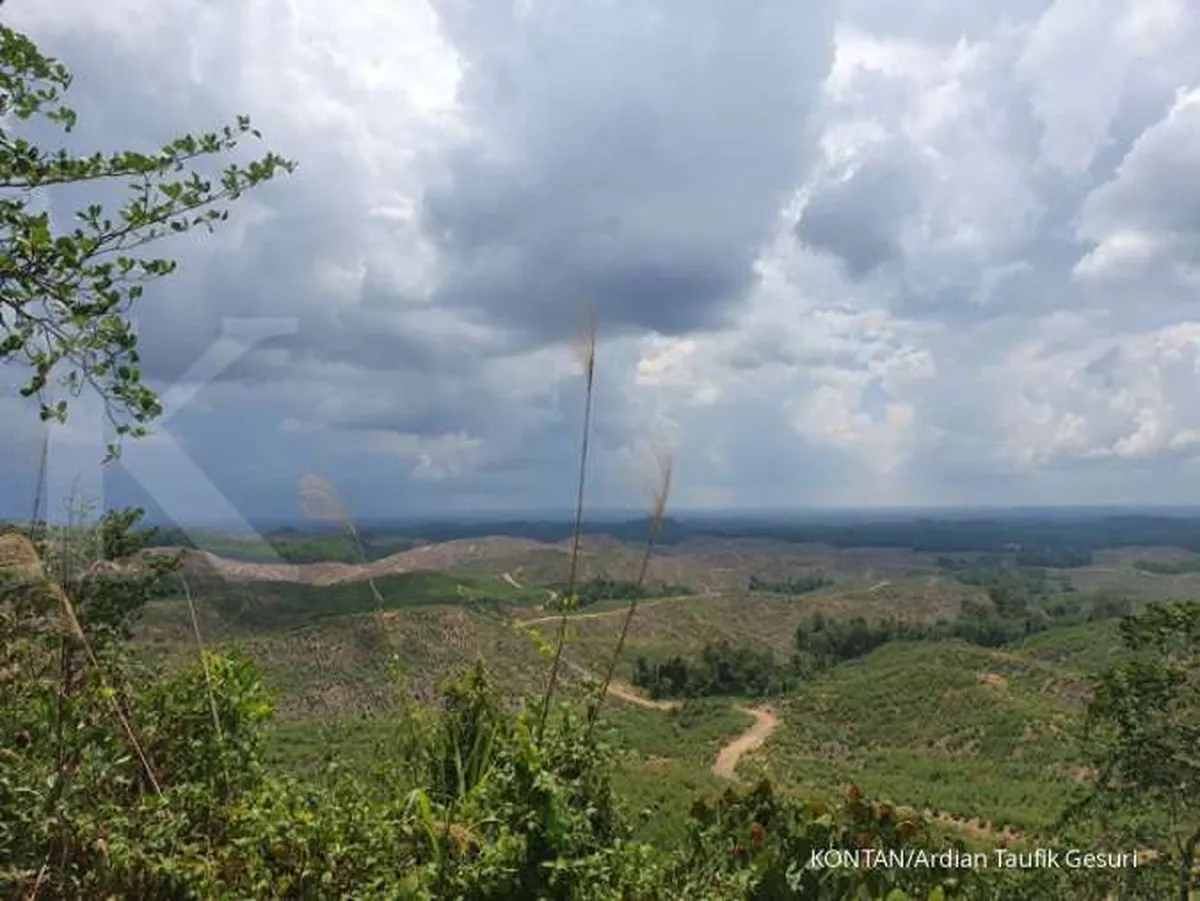 Sepaku akan jadi CBD di Ibukota baru 