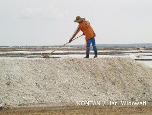 Berharap Nusa Tenggara Timur jadi lumbung garam