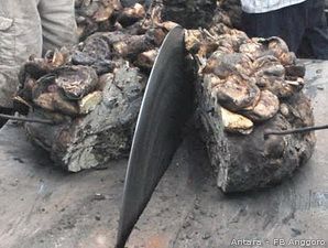 Peluang buat Karet Lokal