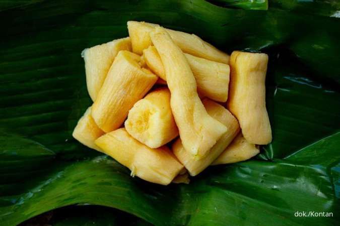 10 Manfaat Makan Tape Singkong bagi Kesehatan Tubuh, Sehatkan Pencernaan!
