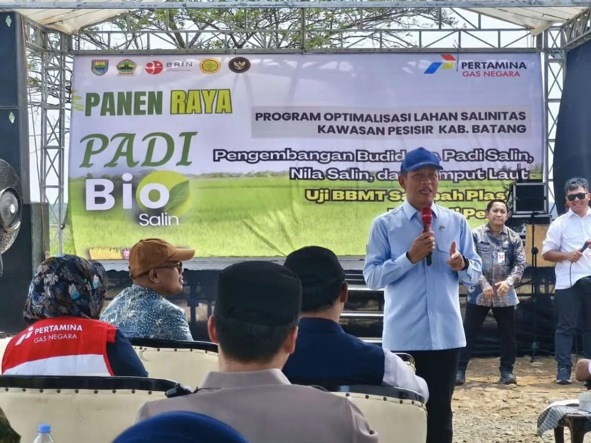 Kolaborasi PGN, BRIN, dan Pemkab Batang Hasilkan Panen 166,5 Ton Padi Biosalin