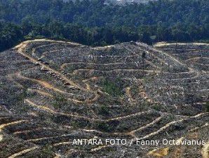 Kawasan hutan Sumatera dalam bahaya