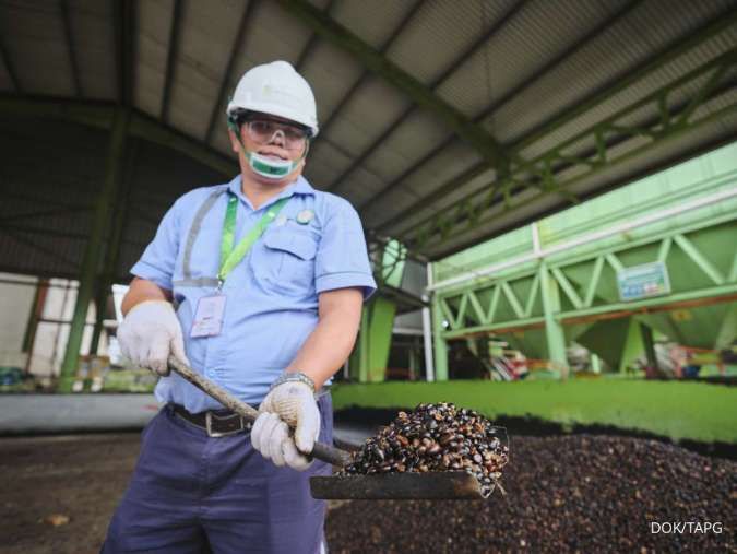 Bedah Prospek Kinerja AALI dan TAPG yang Diprediksi Masih Solid Tahun Depan
