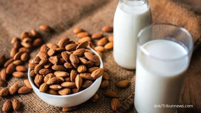 Turunkan Kolesterol, Ini Sederet Manfaat Luar Biasa dari Kacang Almond bagi Kesehatan