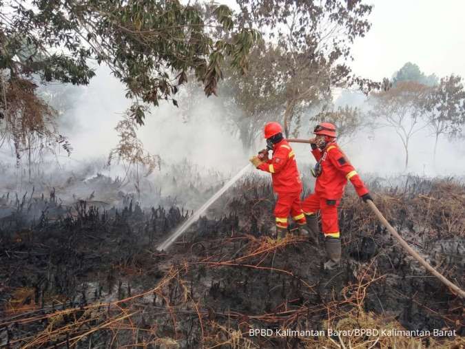 Muhammadiyah Desak Aparat Bongkar Aktor Kebakaran Hutan