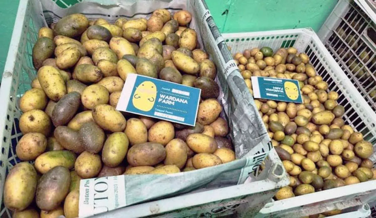 Kementan Dorong Regenerasi Petani Milenial dengan Peningkatan Kompetensi SDM