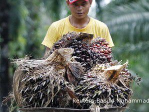 576 Masyarakat Perkebunan Sawit Saling Berkonflik