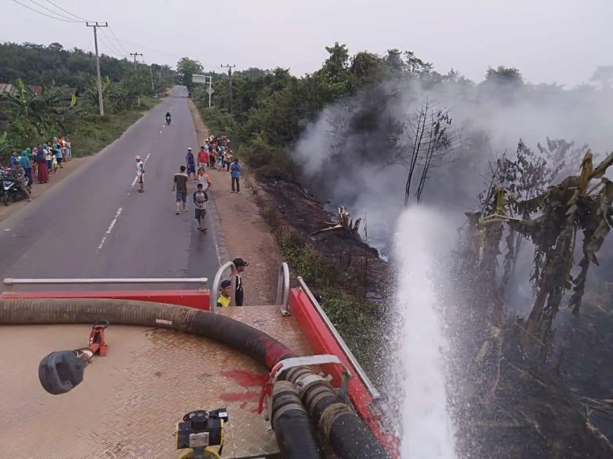 Upaya pencegahan lebih efektif atasi masalah kebakaran hutan dan lahan