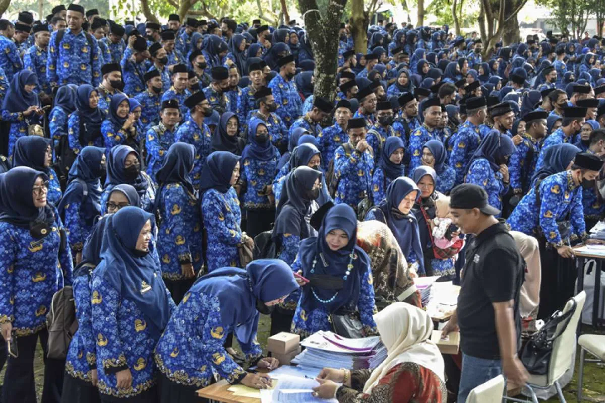 Tenaga Honorer Bisa jadi PPPK Paruh Waktu, Segera Isi DRH di Sscasn.bkn.go.id 