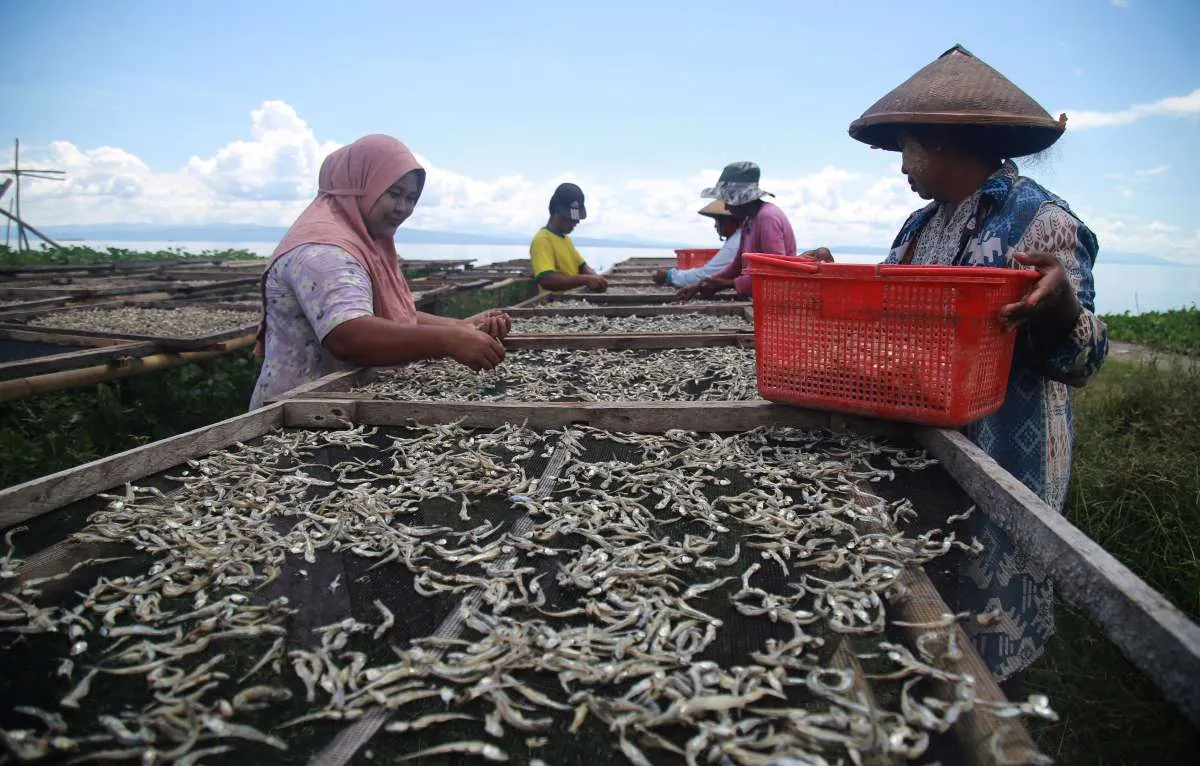 Pengusaha Eksportir Ikan Jelaskan Hambatan Lakukan Diversifikasi Pasar Selain ke AS