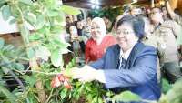 Upaya KLHK Perkuat Lingkungan dan Ekonomi Melalui Program Rehabilitasi Hutan & Lahan