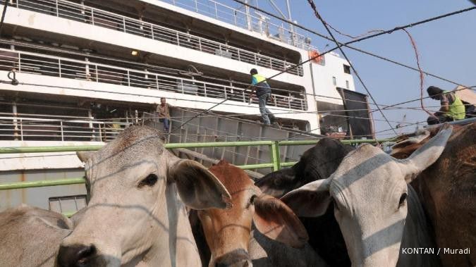 Berdikari akan genjot jumalh sapi jadi 50.000 ekor