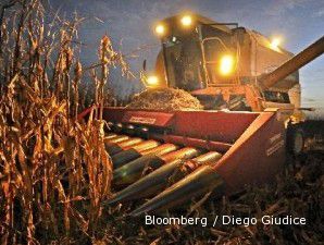 Jepang kurangi ketergantungan impor jagung dan sorgum