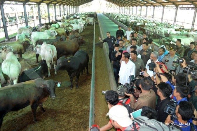 Jokowi serahkan soal sapi di NTT ke PD Pasar Jaya