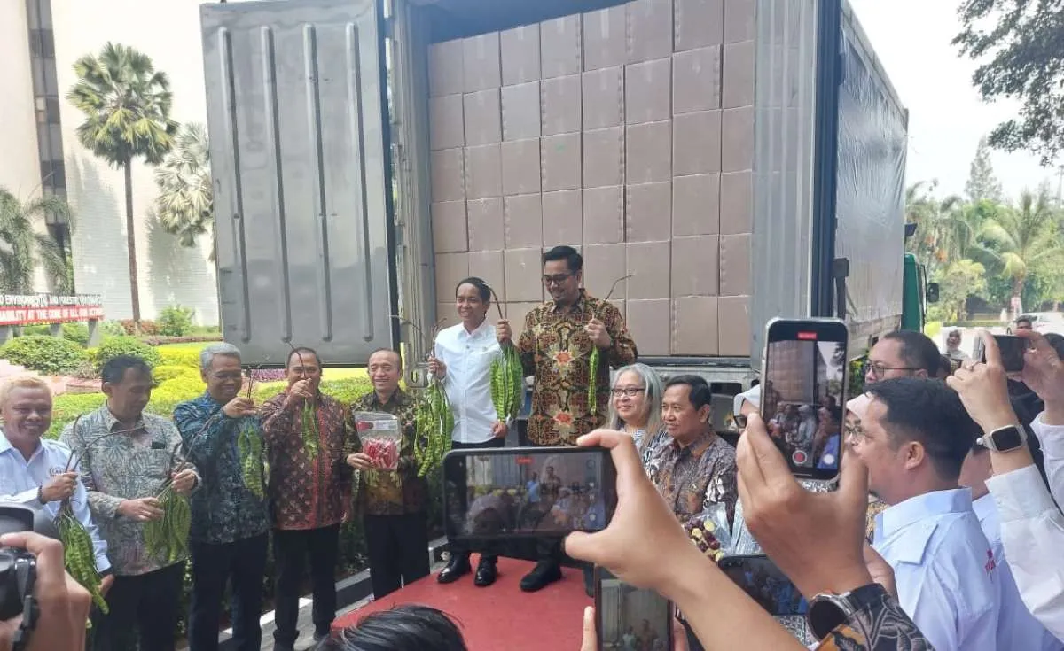 Indonesia Ekspor 9 Ton Komoditas Agroforestry ke Jepang