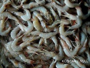 KKP berjanji perjuangkan harga udang yang rendah