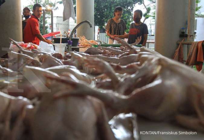 Terkait impor ayam dari Brasil, ini kata Kemendag 