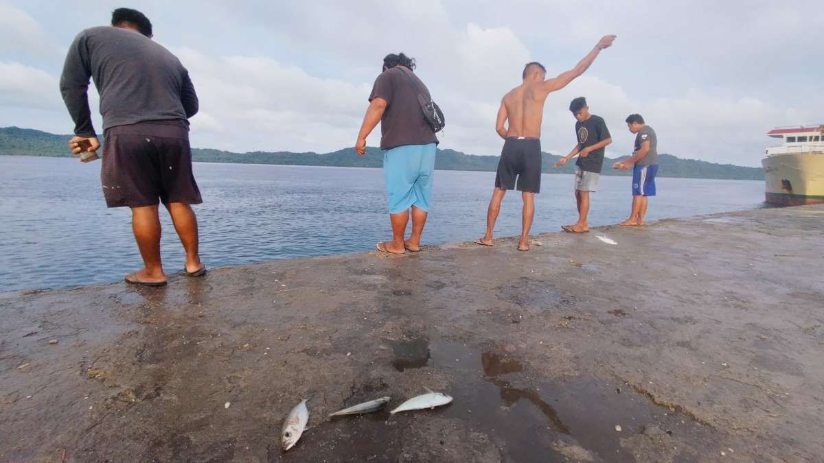 Mencari Rezeki Sedari Pagi di Dermaga Pelabuhan Melonguane