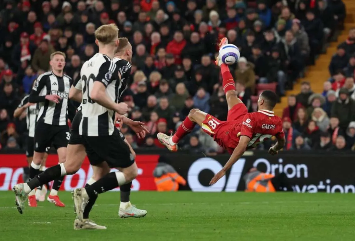 Head to Head Newcastle vs Liverpool: The Reds Masih Unggul Jauh
