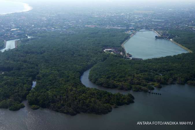 Memangkas Emisi Karbon, Solusi Perubahan Iklim