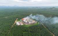 Kinerja Triputra Agro Persada (TAPG) Positif per Semester I-2026, Laba Naik 20,43%