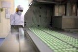 Laba Bersih Tertekan, Begini Rekomendasi Saham Kalbe Farma (KLBF) Berikut Ini