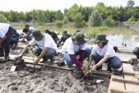 Indika Energy Dukung Penanganan Stunting dan Rehabilitasi Mangrove di Indonesia