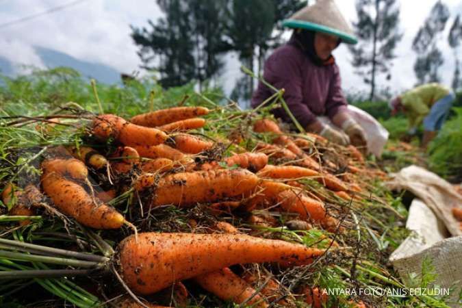 Manfaat Sayur dan Buah Berdasarkan Warna