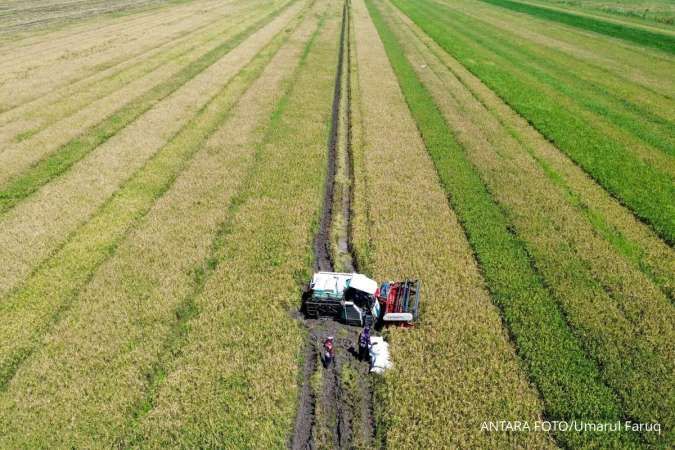 Siap Hadapi Ancaman El-Nino, Mentan Tegaskan Cadangan Beras Capai 4,5 Juta Ton