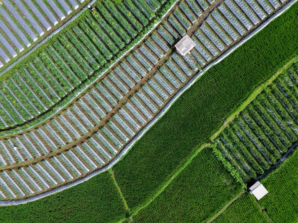 2025 Merupakan Salah Satu Tahun Terpanas Sepanjang Masa, Bisa Terulang di 2026