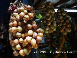 Harga bawang makin mahal